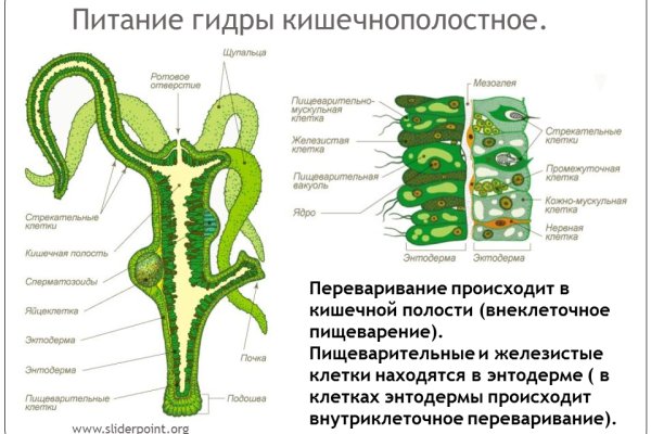 Мега даркнет